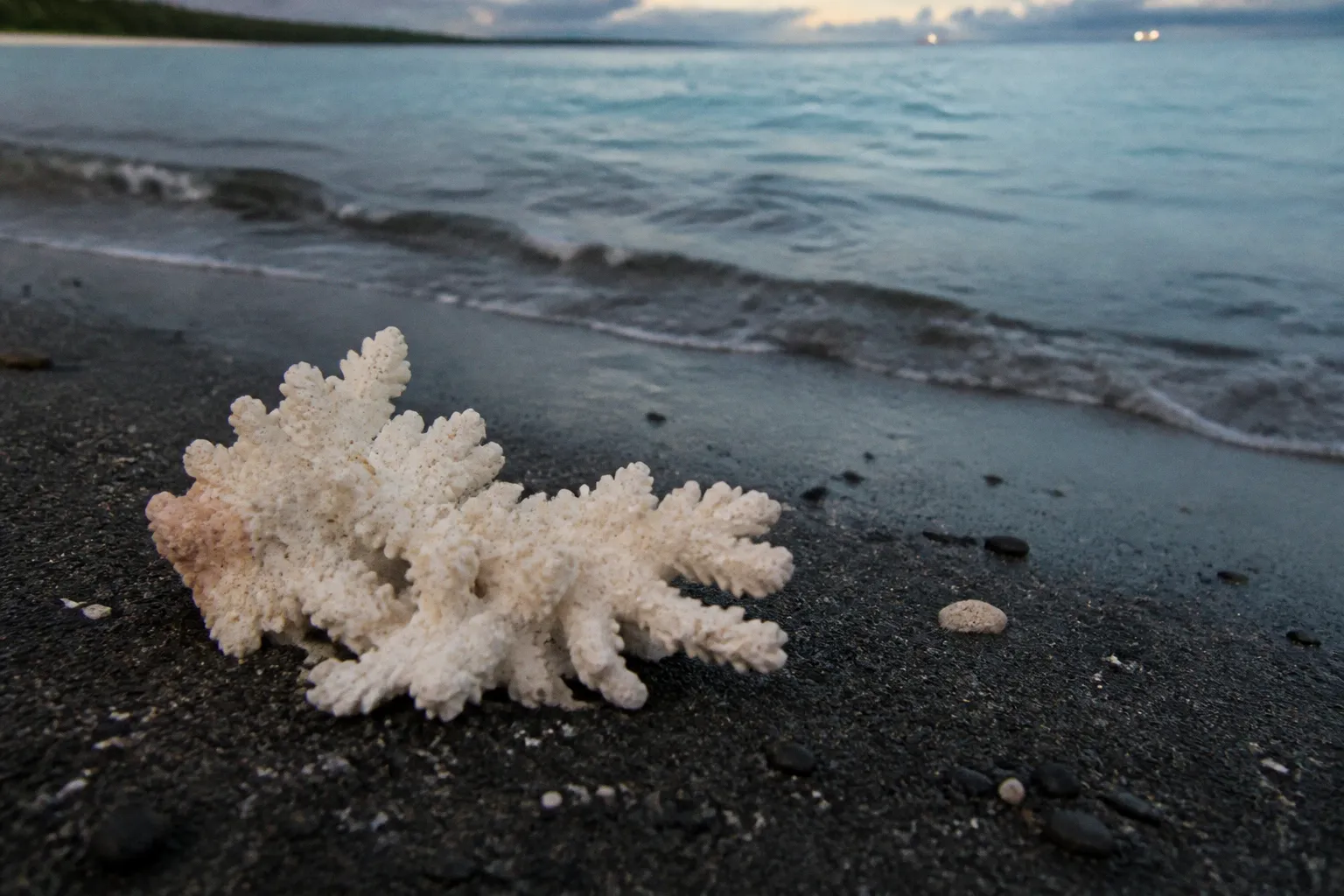 Korallenbleiche am Great Barrier Reef: Reiseplanung mit Verantwortung