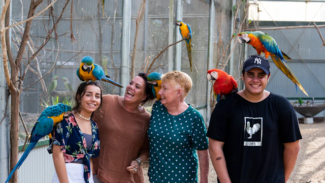 Maleny Botanic Gardens & Bird World